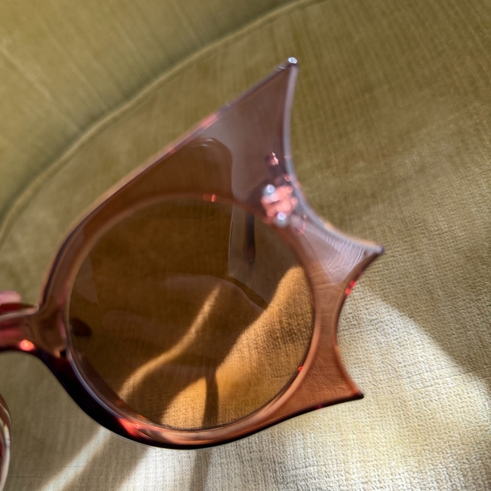 Brown Cat-Eye Bat-Wing Sunglasses - Picture 4 of 6